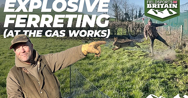 Explosive Ferreting (at The Gas Works)