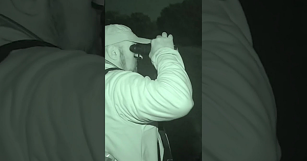 Surrey Roebuck Stalk  #fieldsportsbritain #fieldsports