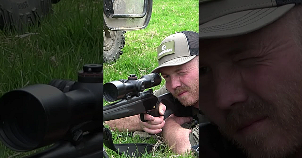 Tom's Copper Journey: Roebuck Cull