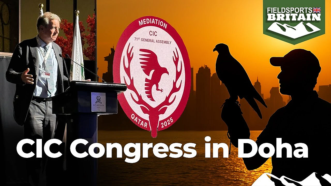 Can You Mediate With Antis? Cic Congress In Doha