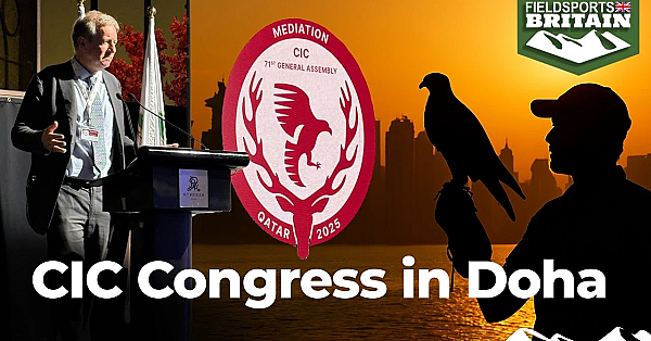 Can You Mediate With Antis? Cic Congress In Doha