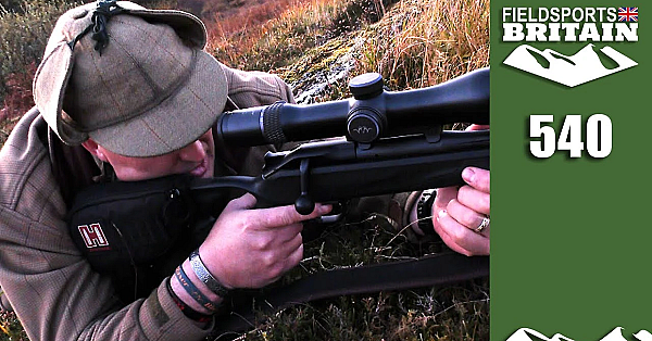 Fieldsports Britain - Magic Of Roe Deer