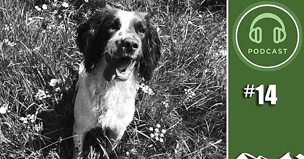 Tackling Dog Theft - Fieldsportschannel Podcast Episode 14