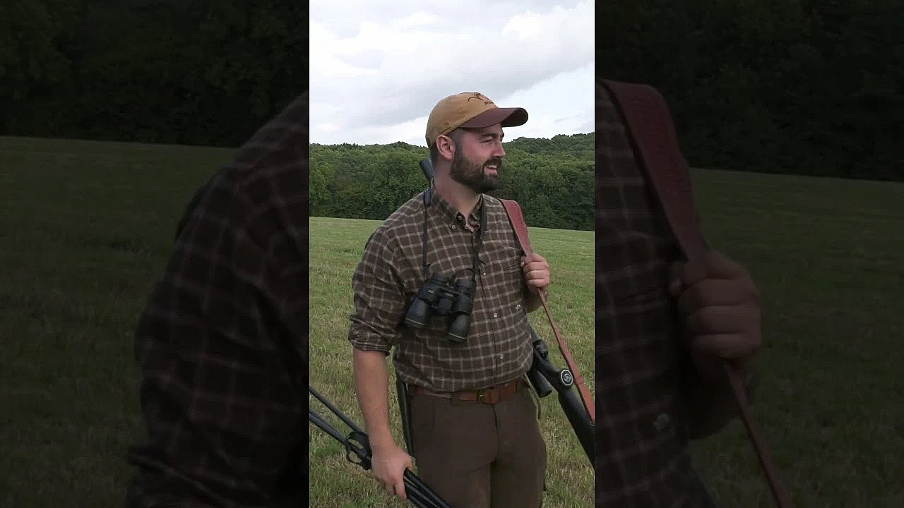 Deerstalker's Peace Offering To Dogwalker  #fieldsportsbritain #hunting