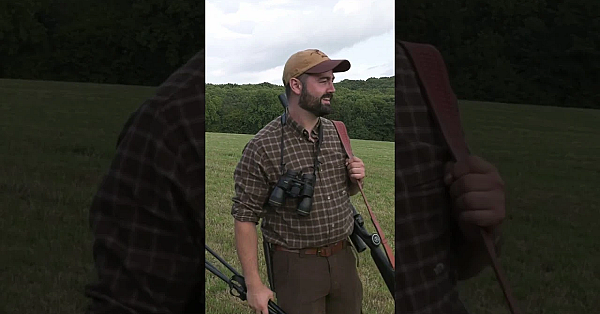 Deerstalker's Peace Offering To Dogwalker  #fieldsportsbritain #hunting