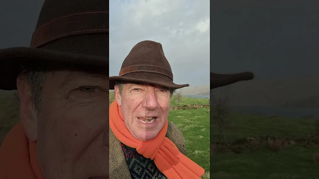 Woodcock Shooting In The Hebrides