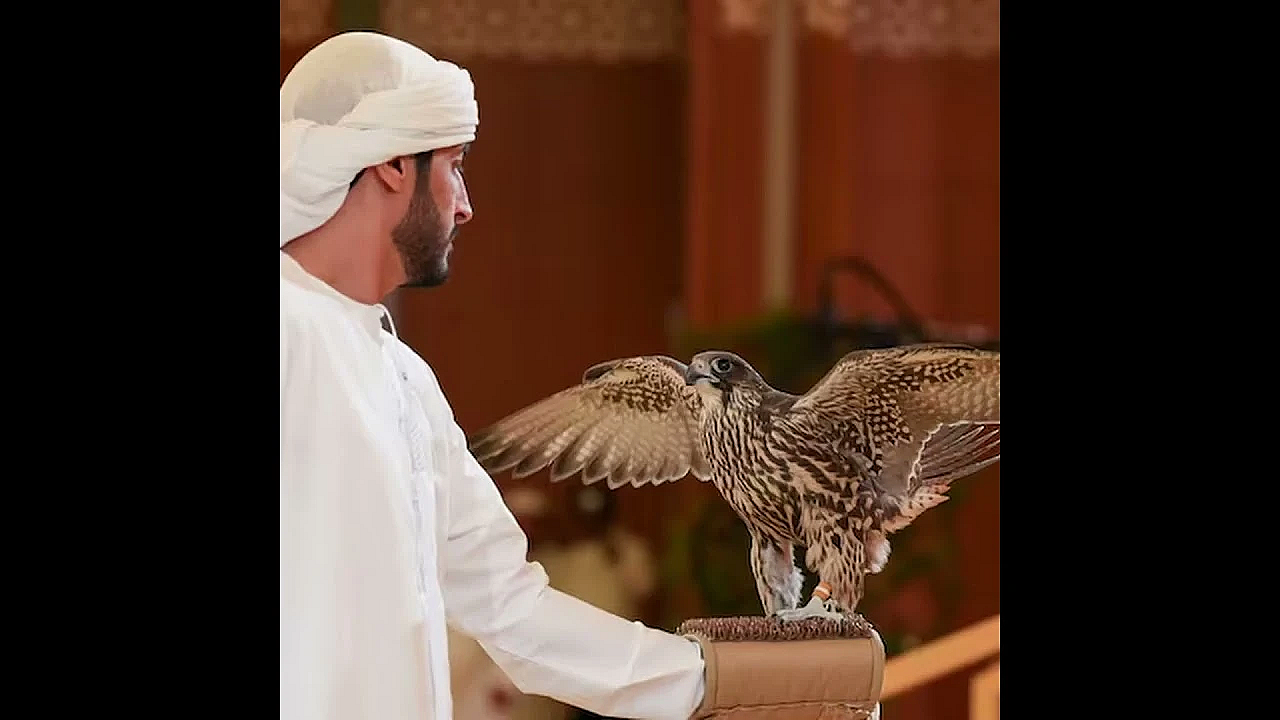 Pure gyrfalcon sells for Dh255,000