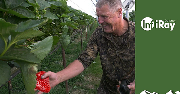 Crow's Fruity Night-vision Rabbit Shoot