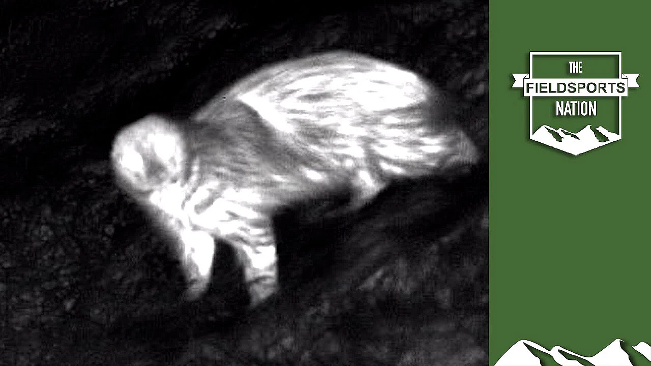 Pulsar Is Game-changer For Wildlife Identification, Says Scientist