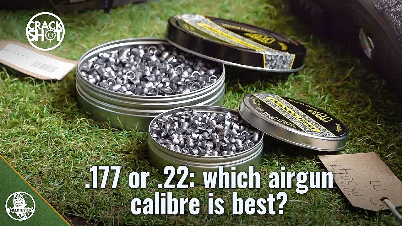 Which Airgun Calibre? .22 Or .177