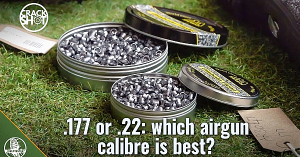 Which Airgun Calibre? .22 Or .177