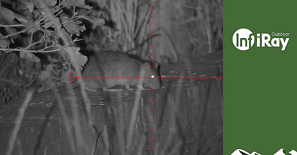 Mr Grumpy Goes Ratting