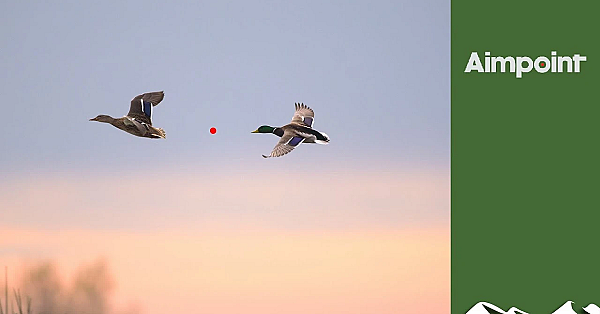 Duck With A Red-dot Sight