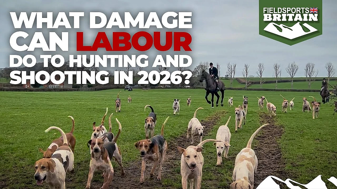 What Damage Can Labour Do To Hunting And Shooting In 2026?