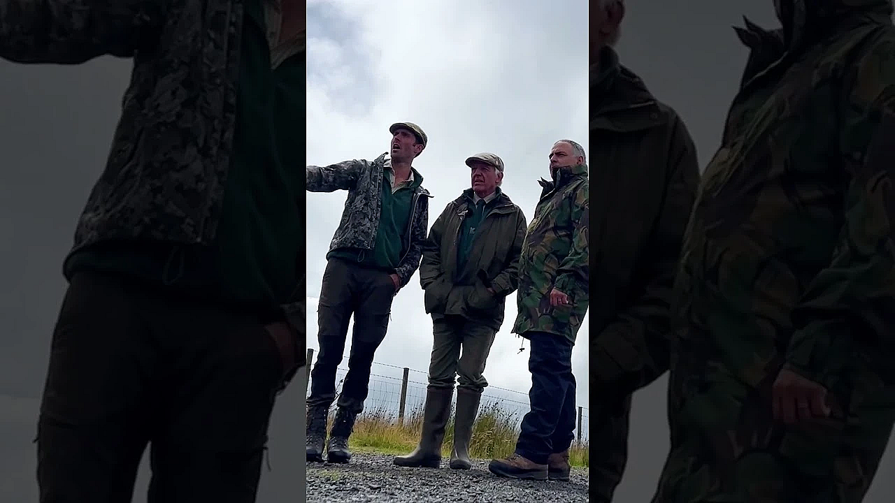 Keepers Recorded 69 Fledged Curlew Chicks In Glenwherry This Season #curlew