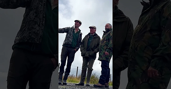 Keepers Recorded 69 Fledged Curlew Chicks In Glenwherry This Season #curlew