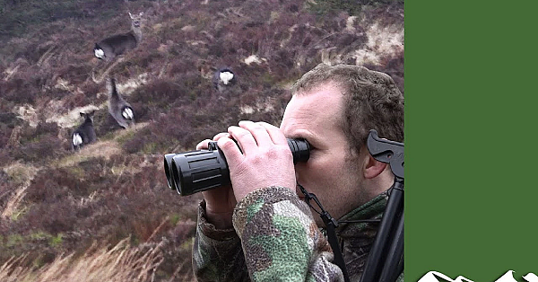 Deer: From Field To Freezer