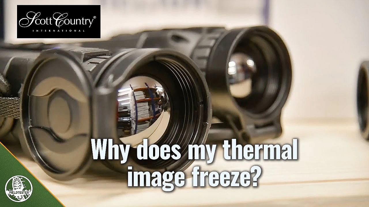 Why Does My Thermal Image Freeze?