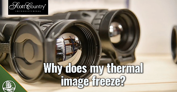 Why Does My Thermal Image Freeze?