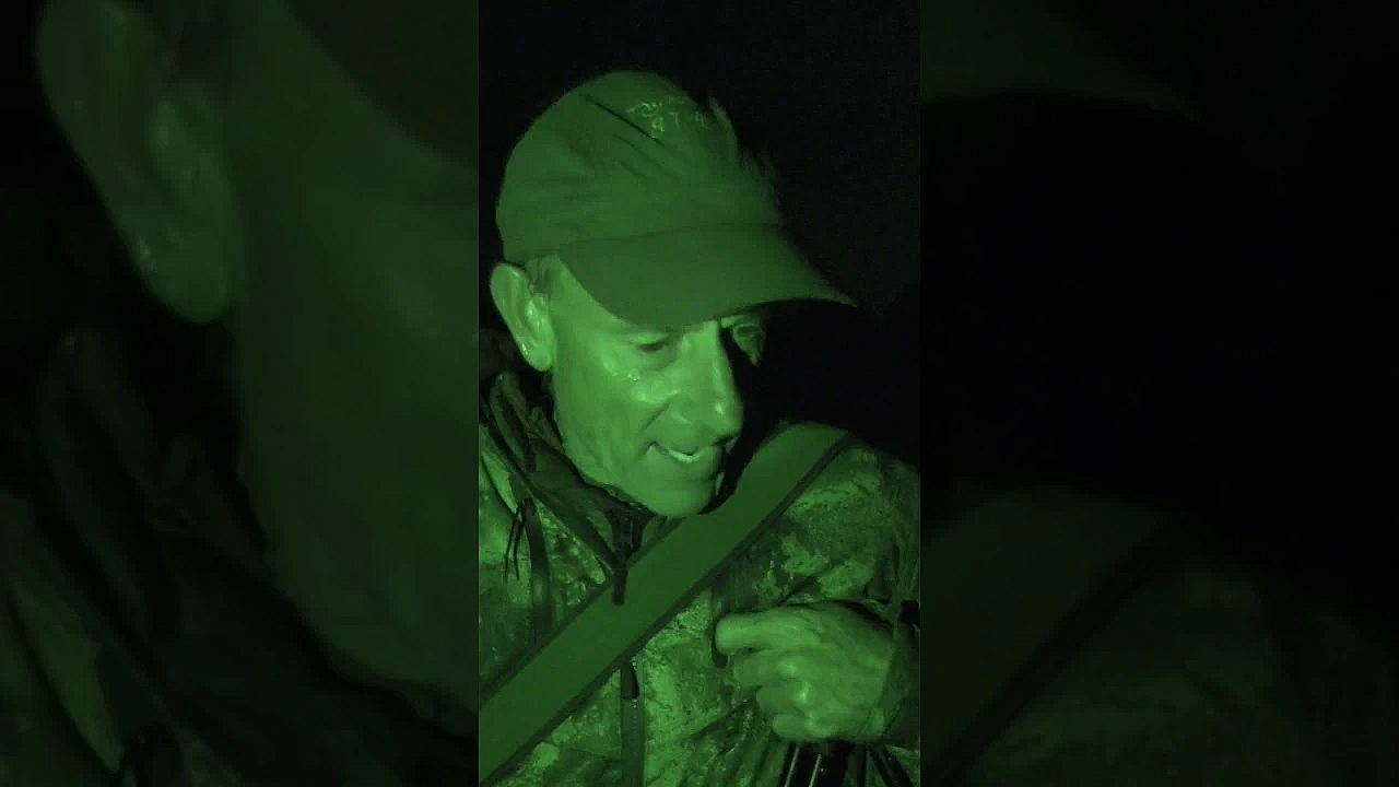 Pest Control In Luxury In The Weeks #fieldsportsbritain