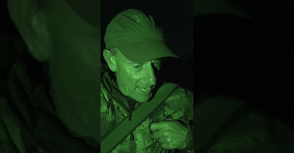 Pest Control In Luxury In The Weeks #fieldsportsbritain