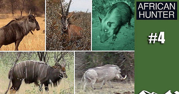 Plainsgame Five: Nyala, Wildebeest, Sable, Warthog And Bushpig - African Hunter, Episode 4