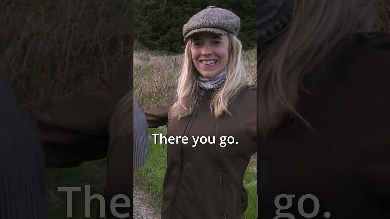 #tick Removal Top Tips And Innovations. Is This The Next Big Anti Tick Tool? #fieldsportsbritain