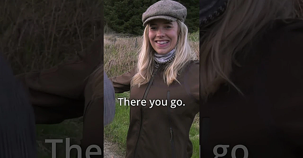 #tick Removal Top Tips And Innovations. Is This The Next Big Anti Tick Tool? #fieldsportsbritain