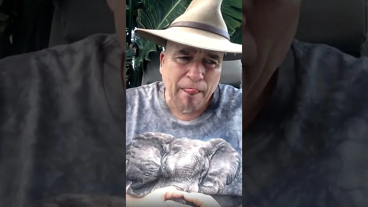 How Ifaw Kills People With Elephants  #fieldsportsbritain