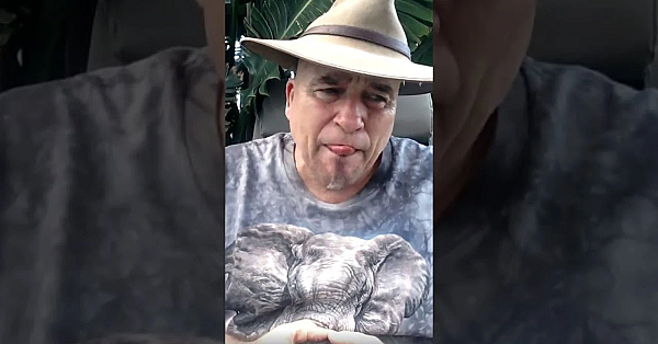 How Ifaw Kills People With Elephants  #fieldsportsbritain