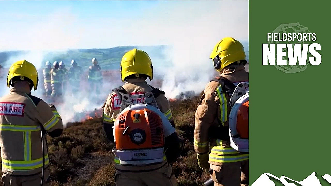 How The Rspb Causes The Biggest British Wildfires