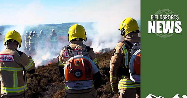 How The Rspb Causes The Biggest British Wildfires