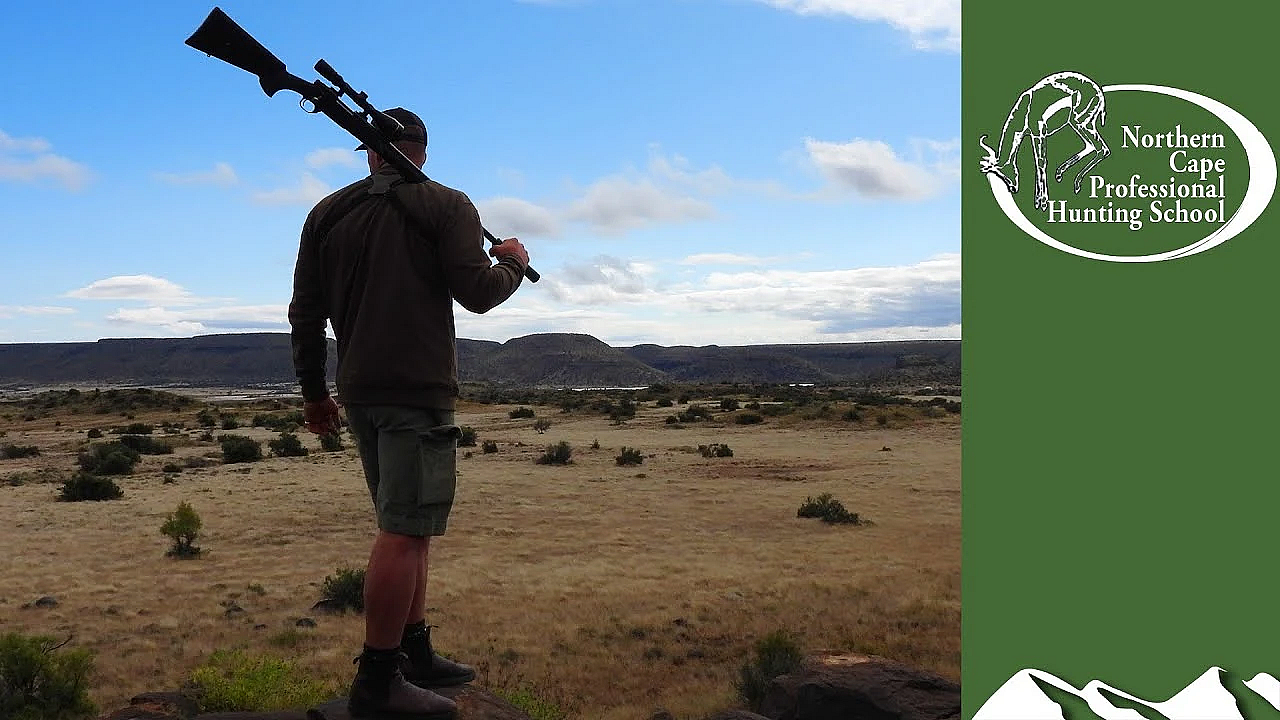 Pro Hunter School: Wildebeest And Springbok