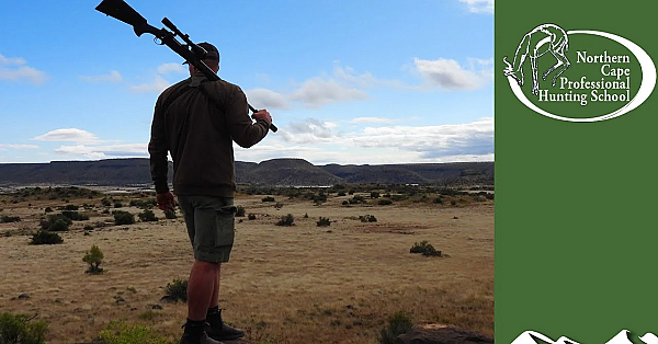 Pro Hunter School: Wildebeest And Springbok