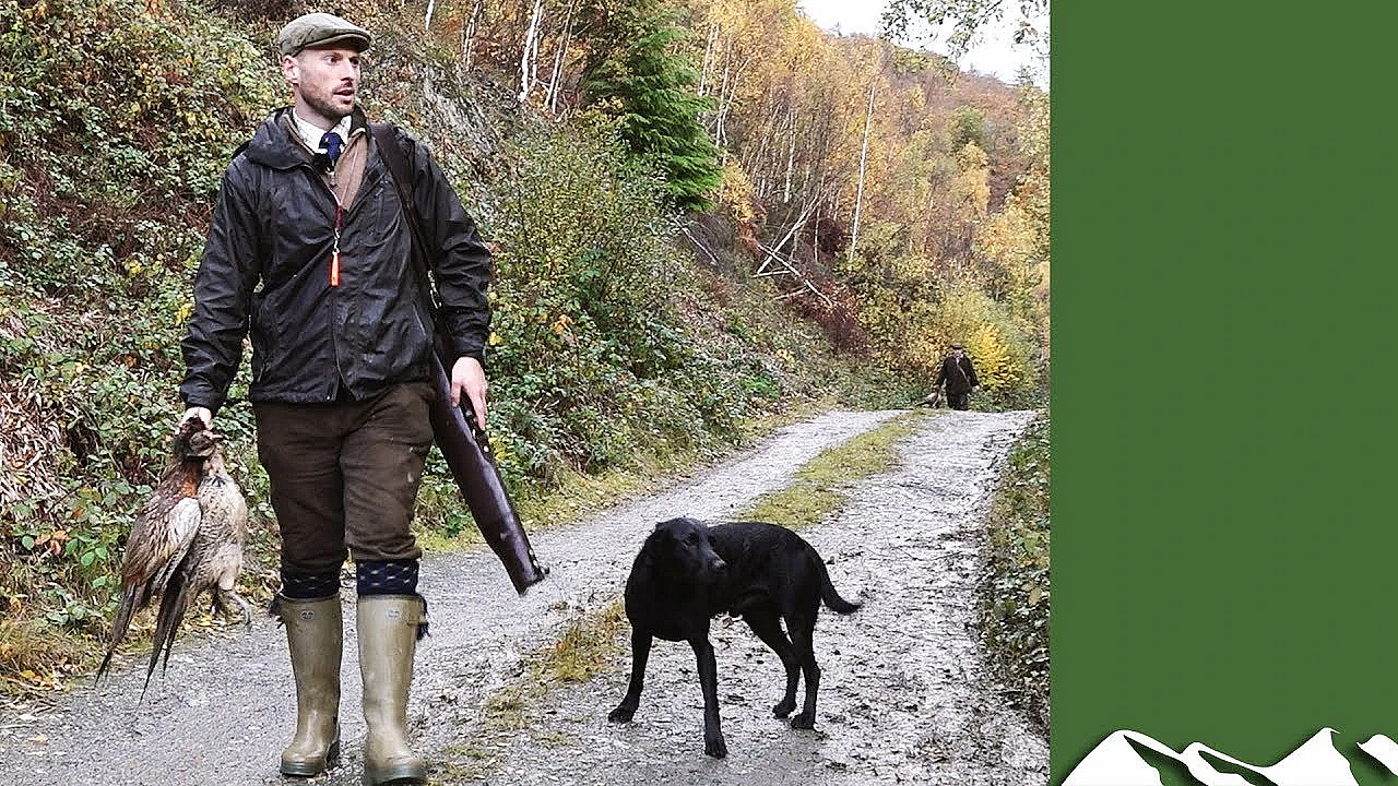 High Pheasants: Shelton Abbey Shoot