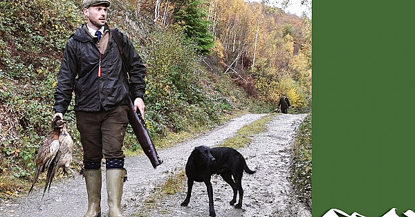 High Pheasants: Shelton Abbey Shoot