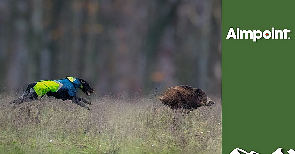 Hunting High-speed Boar