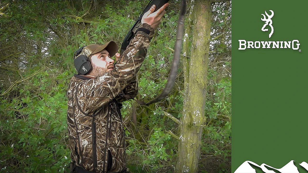 Scottish Feral Pigeon Shoot