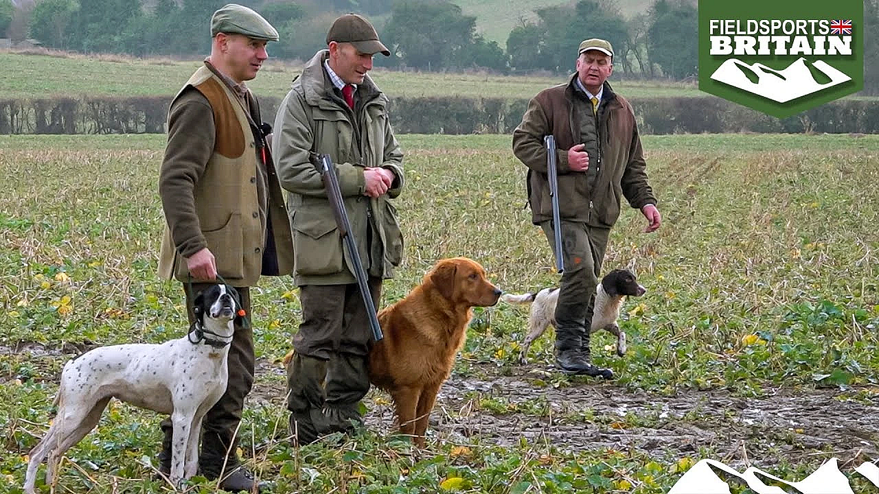 The Right Dog For The Job, With José Souto