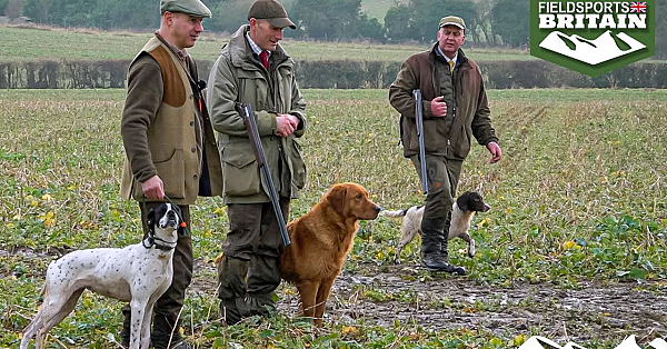 The Right Dog For The Job, With José Souto