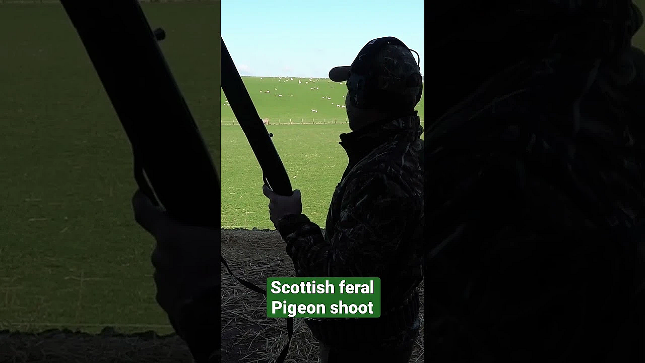 Elliot Roberts Has A New Permission On A Farmyard In The North Of Scotland #fieldsportsbritain