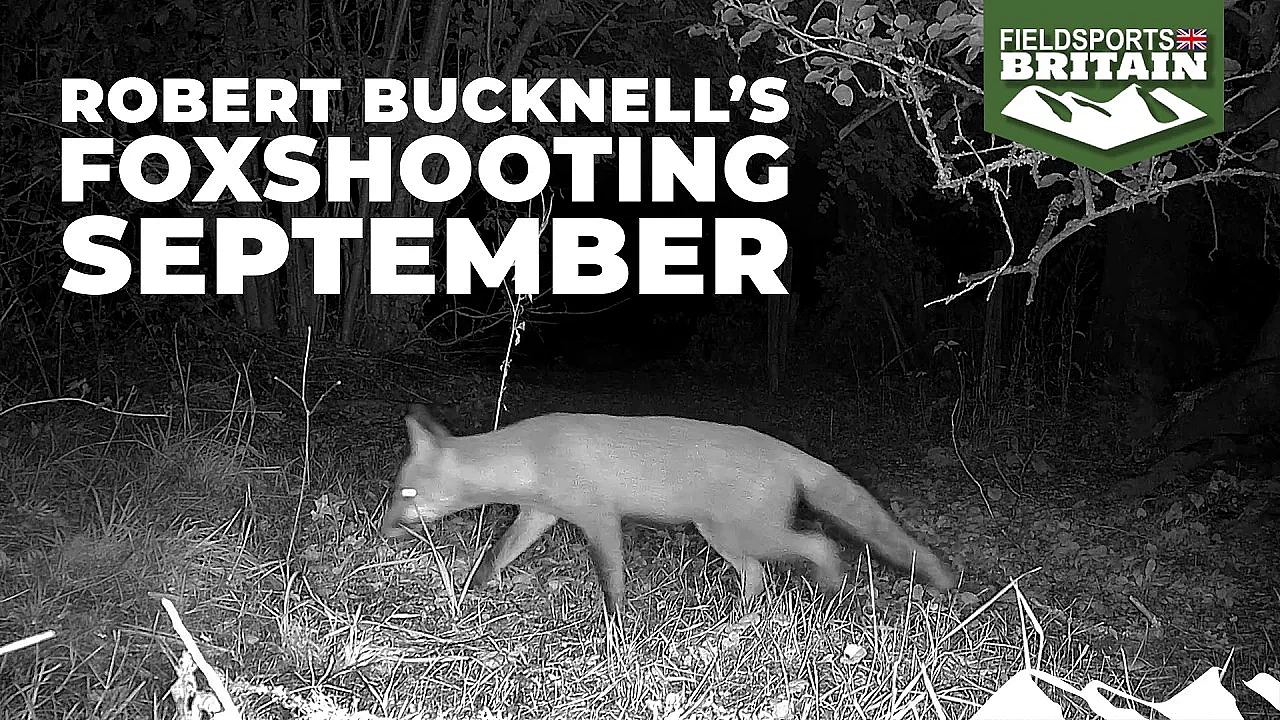 Robert Bucknell's foxshooting diary – September