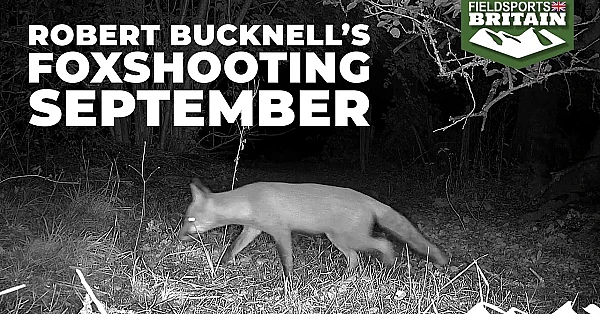 Robert Bucknell's foxshooting diary – September