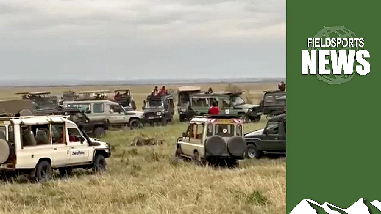 How Ecotourists Kill Wildlife With Their Cameras