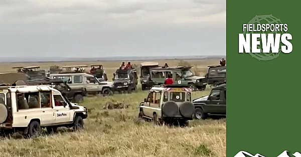 How Ecotourists Kill Wildlife With Their Cameras