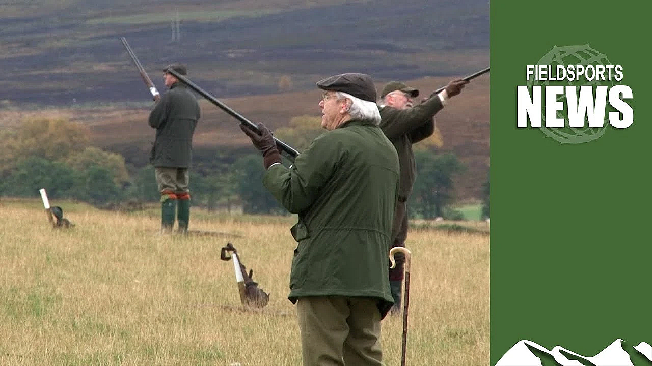 Defra's Mad Plan To Stop Gamebird Release