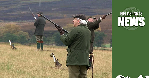 Defra's Mad Plan To Stop Gamebird Release