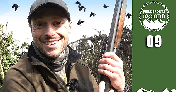 Shooting Grey Crows  - Fieldsports Ireland, Episode 9