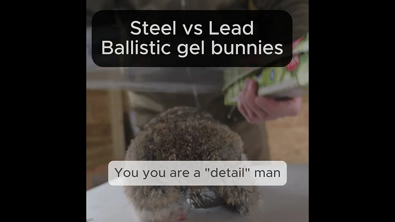 Steel Vs Lead: Ballistic Gel Bunnies And Bunny Furs