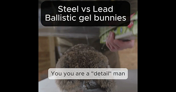 Steel Vs Lead: Ballistic Gel Bunnies And Bunny Furs